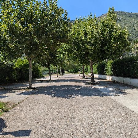 Hotel Del Sole Sora Bagian luar foto