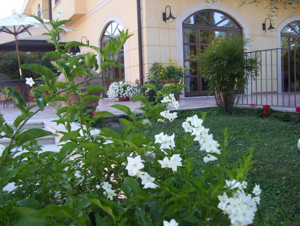 Hotel Del Sole Sora Bagian luar foto